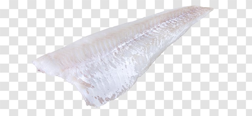 Fish .cf - Cf Transparent PNG