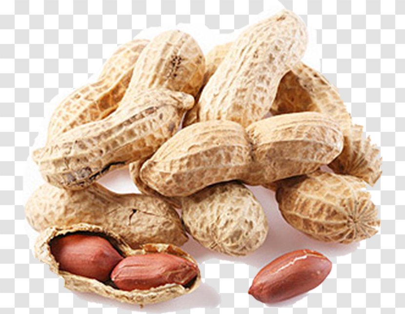 Nuts Peanut Almond English Walnut - Hazelnut Transparent PNG