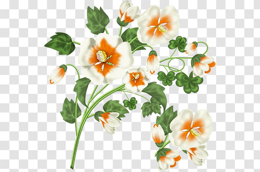 Flower Blog Clip Art - Plant Transparent PNG