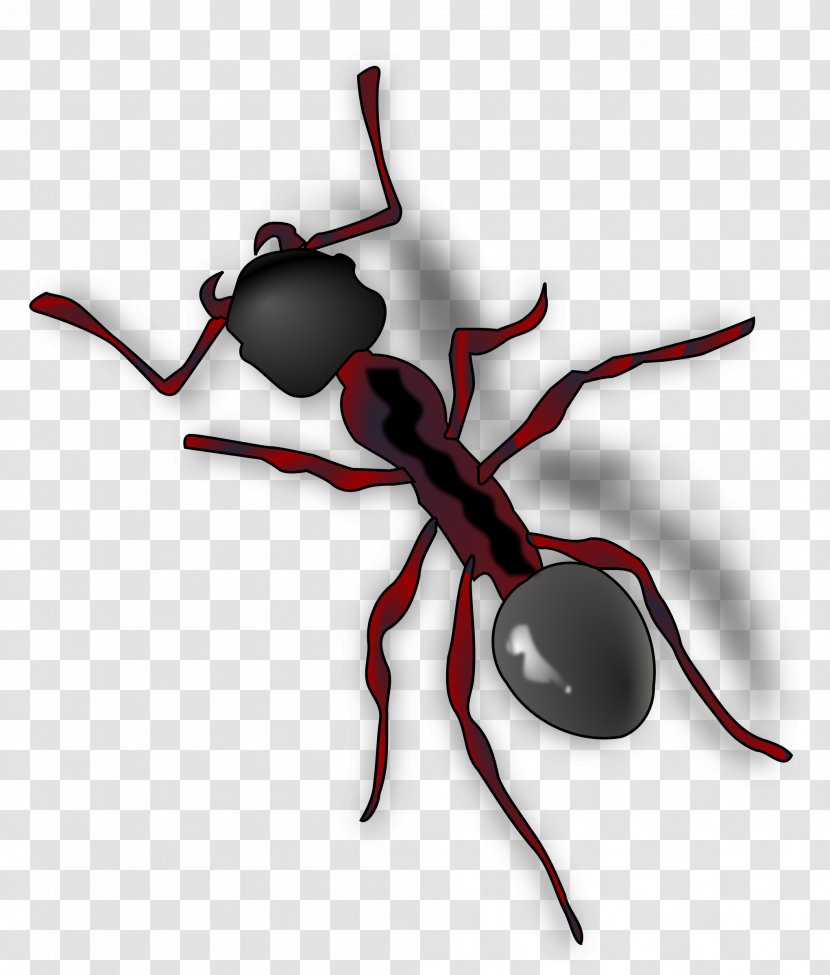 Ant Clip Art - Arthropod Transparent PNG