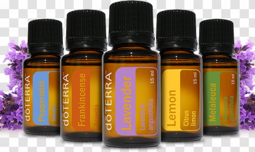 Essential Oil DoTerra Aromatherapy Perfume - Glass Bottle Transparent PNG
