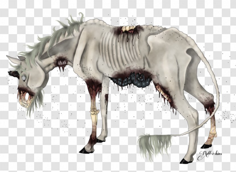 Mane Mustang Stallion Foal Mare - Pack Animal Transparent PNG