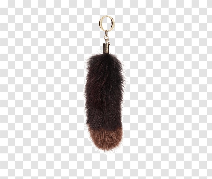 Fur - Tail Transparent PNG