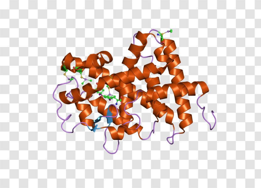 Thyroid Hormone Receptor Alpha Beta Nuclear - Corticotropinreleasing 1 Transparent PNG