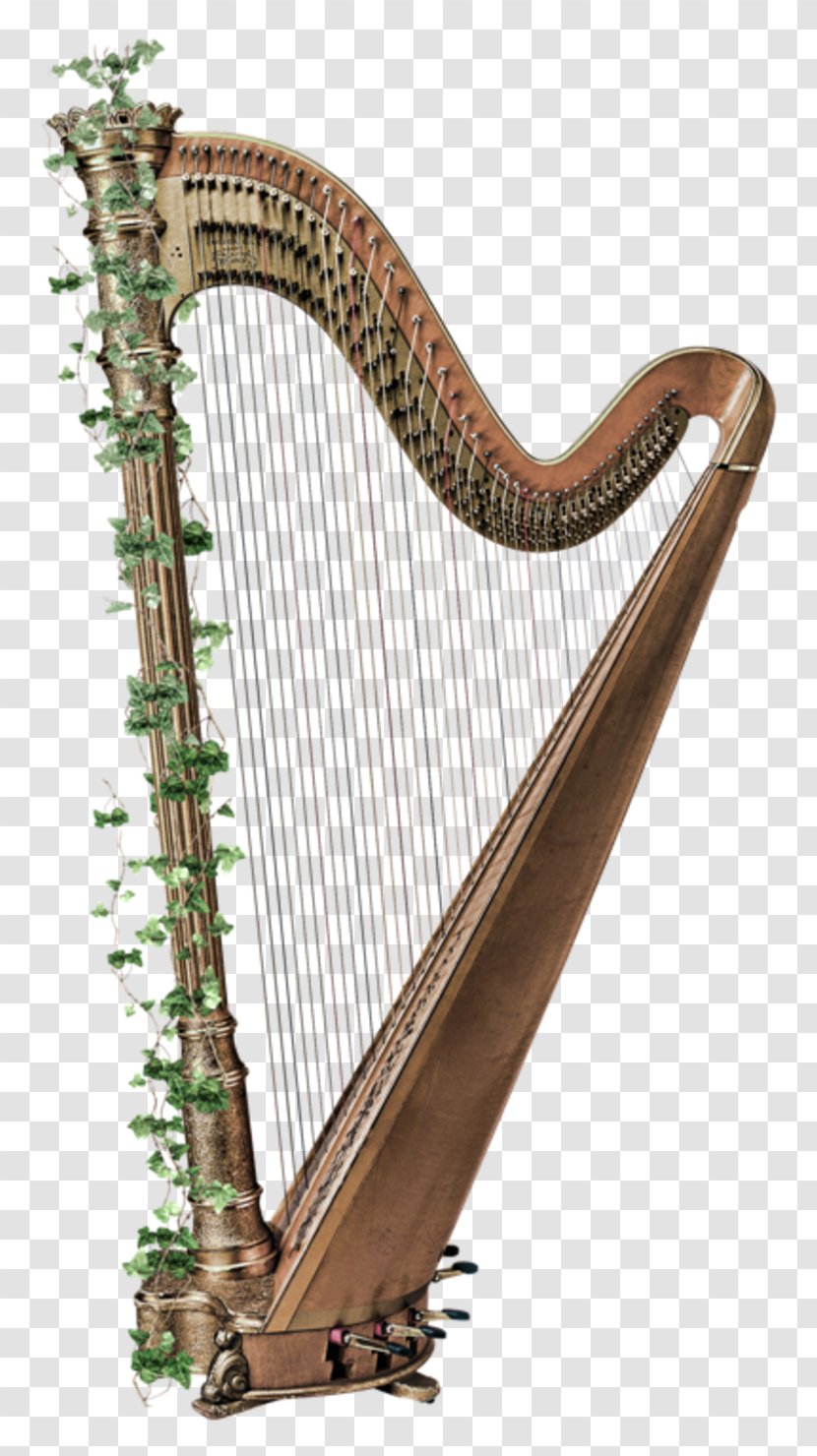 Celtic Harp Musical Instruments String - Frame Transparent PNG
