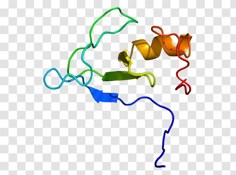 RNF38 Gene Protein Human RING Finger Domain - Heart - Dependent Source Transparent PNG