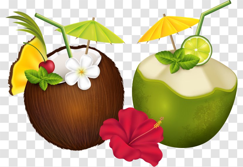 Cocktail Pixf1a Colada Coconut Water Tropics - Vector And Flowers Transparent PNG