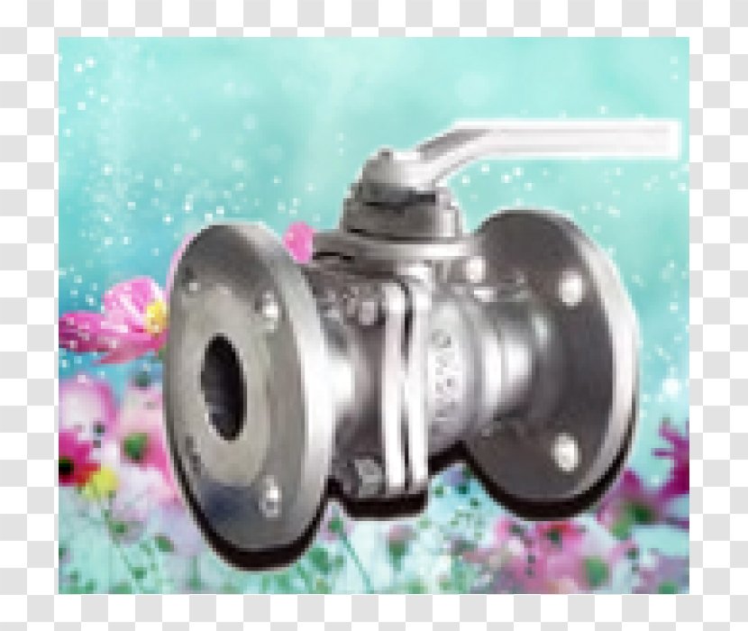 Công Ty TNHH Thương Mại Sản Xuất Dịch Vụ Đông Hải Ball Valve Stainless Steel Nenndruck - Pump - Asme Transparent PNG