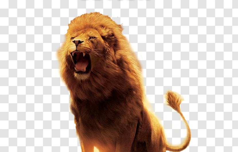 Lion Of Judah Hinduism Symbol Kingdom - Chronicles Narnia - Leon Transparent PNG