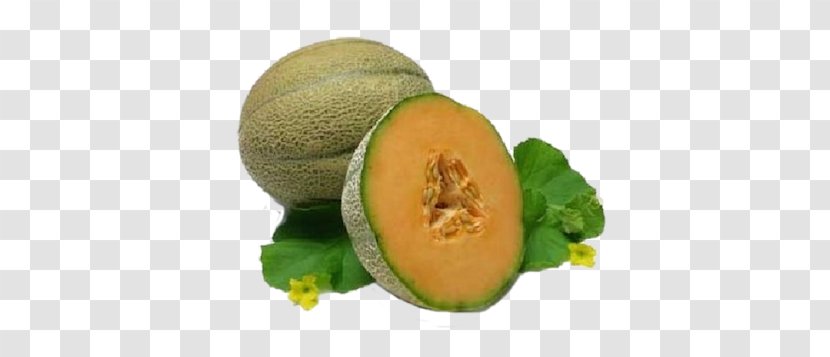Cantaloupe Watermelon Honeydew Cucumber - Natural Foods - Melon Transparent PNG