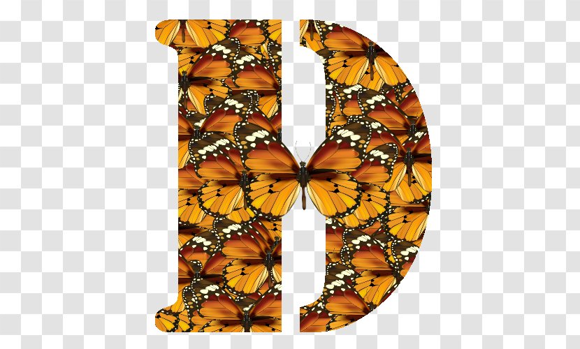 Monarch Butterfly Brush-footed Butterflies Symmetry Font - Greeting Note Cards - Quebec Transparent PNG