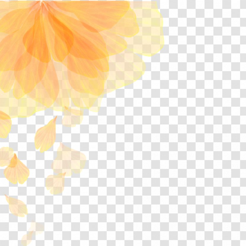 Euclidean Vector Flower Color Gradient - Yellow - Fantasy Flowers Transparent PNG