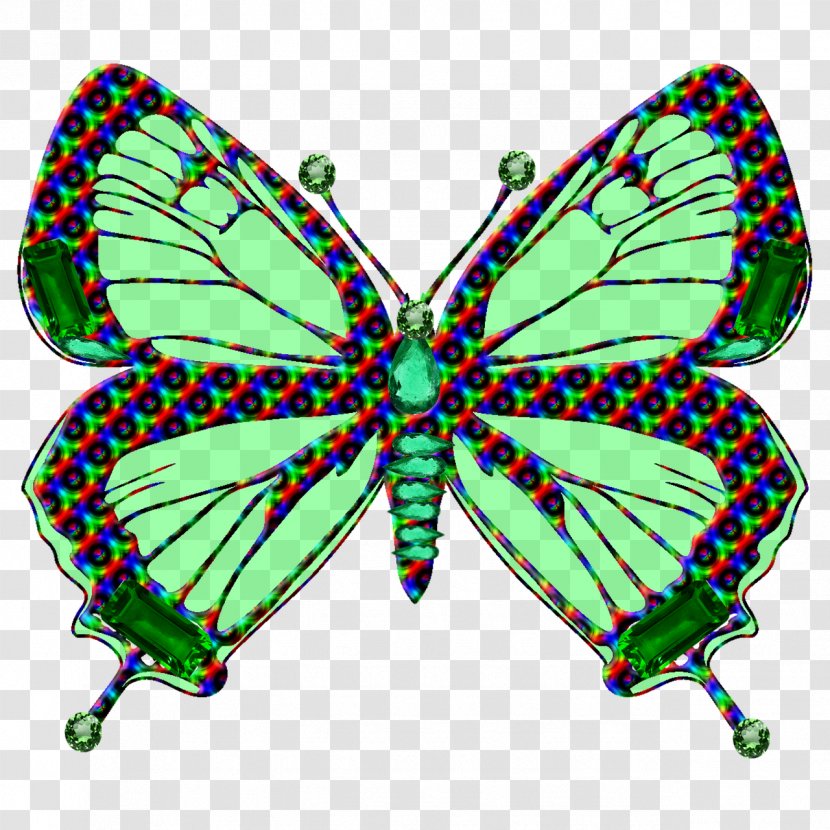 Clip Art Monarch Butterfly Illustration Drawing Brush-footed Butterflies - Invertebrate - Kupukupu Cebrada Transparent PNG