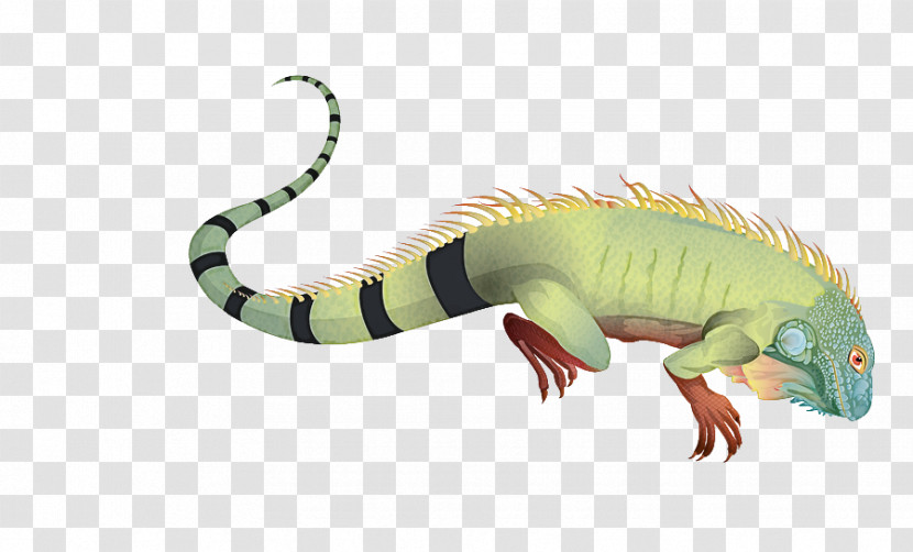 Reptile Animal Figure Scaled Reptile Lizard Iguana Transparent PNG