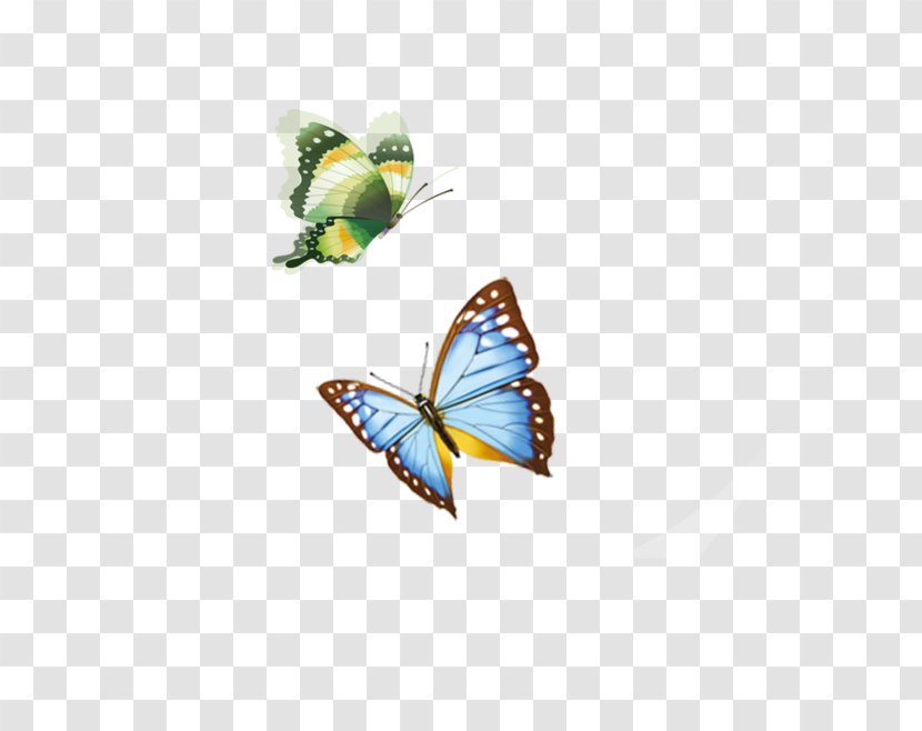 Butterfly - Moths And Butterflies - Flying Transparent PNG