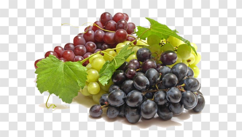 Wine Common Grape Vine Fruit - Local Food Transparent PNG
