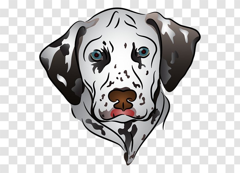 Dalmatian Dog Puppy Poodle Dachshund Chihuahua Transparent PNG