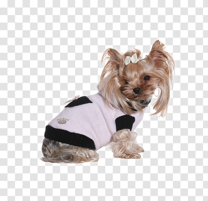 Yorkshire Terrier Dating Agency Puppy Online Service Dog Breed - Bunny Princess Transparent PNG