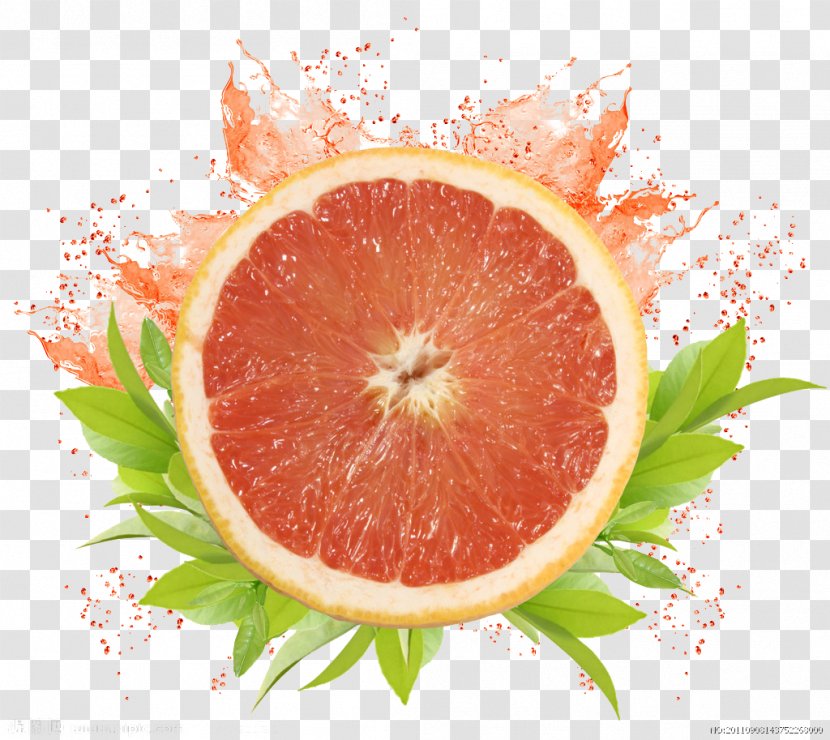 Lip Balm Grapefruit Juice Cosmetics Gloss - Food - Fruit Transparent PNG