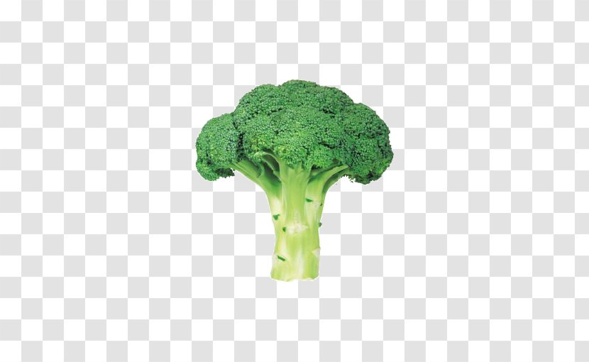 Organic Food Vegetable Broccoli - Lutein - Fresh Green Transparent PNG