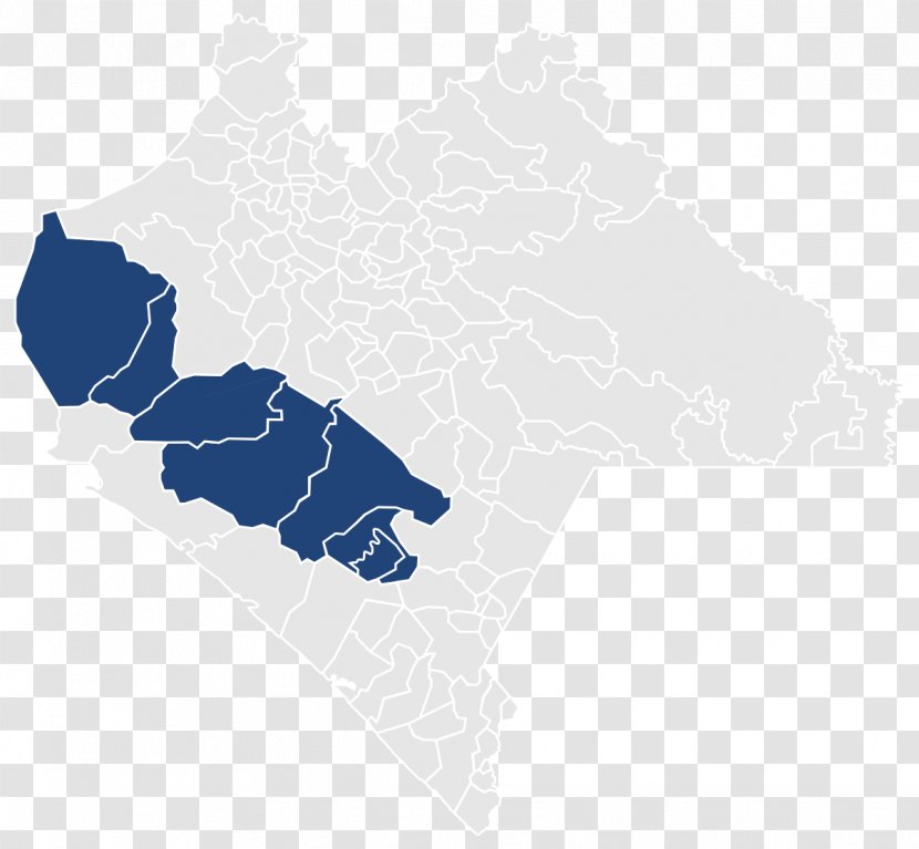 X Federal Electoral District Of Chiapas La Fraylesca Districts Mexico Frailesca - Map - Region Transparent PNG