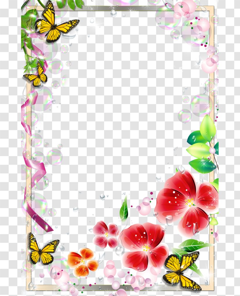 Picture Frame - Flower Arranging - Simple And Modern Border Transparent PNG