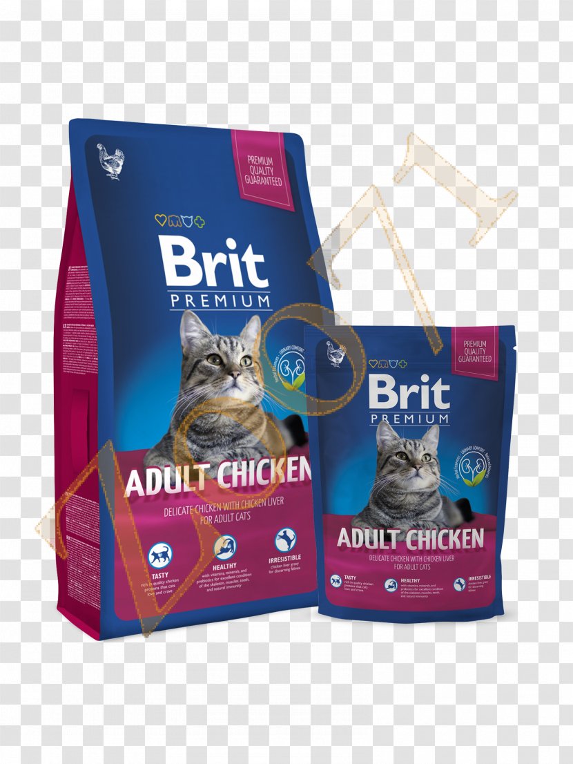 Cat Food Fodder Chicken Kitten - Breed Transparent PNG