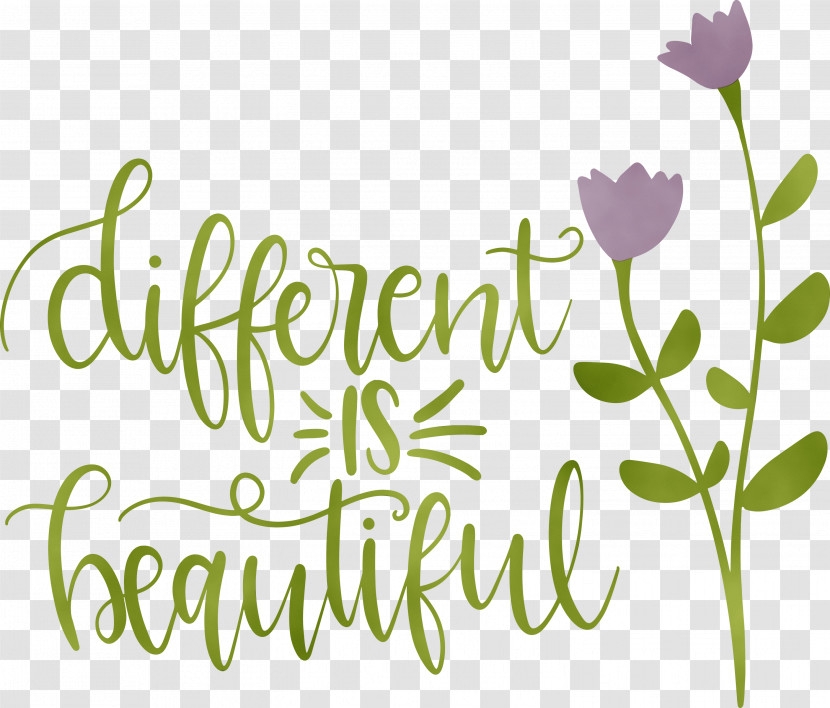 Floral Design Transparent PNG