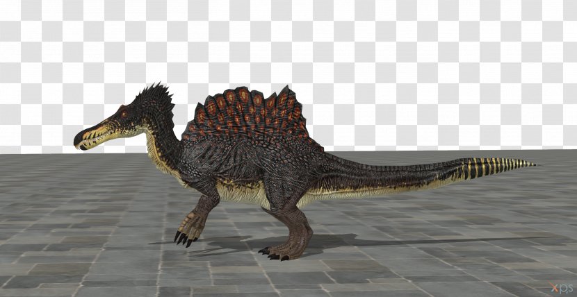 Tyrannosaurus Velociraptor Fauna Extinction - Dinosaur - Jurassic Park 3 Spinosaurus Transparent PNG