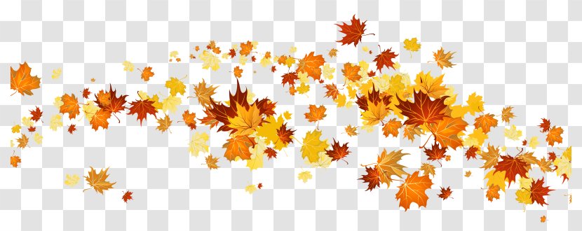 Clip Art - Sky - Autumn Leaf Color Transparent PNG