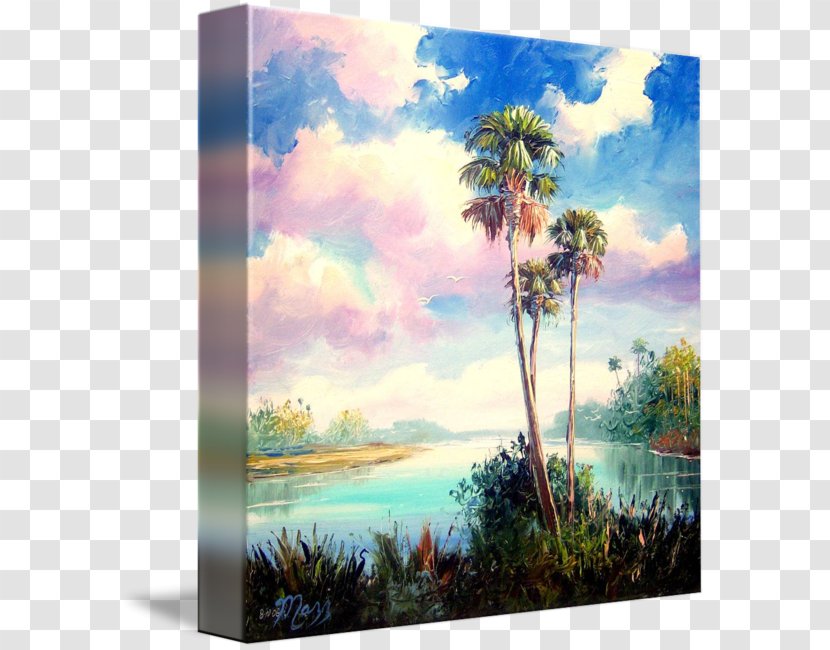 Watercolor Painting Acrylic Paint Picture Frames - Sabal Palm Transparent PNG