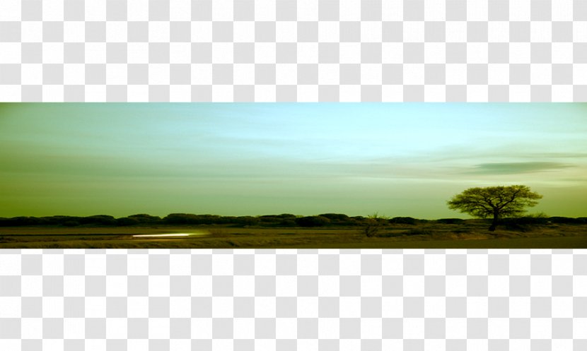 Land Lot Kolej Tuanku Ja'afar Grassland Ecoregion Morning - Espacio Transparent PNG