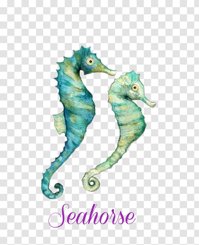 Seahorse Watercolor Painting Art Transparent PNG