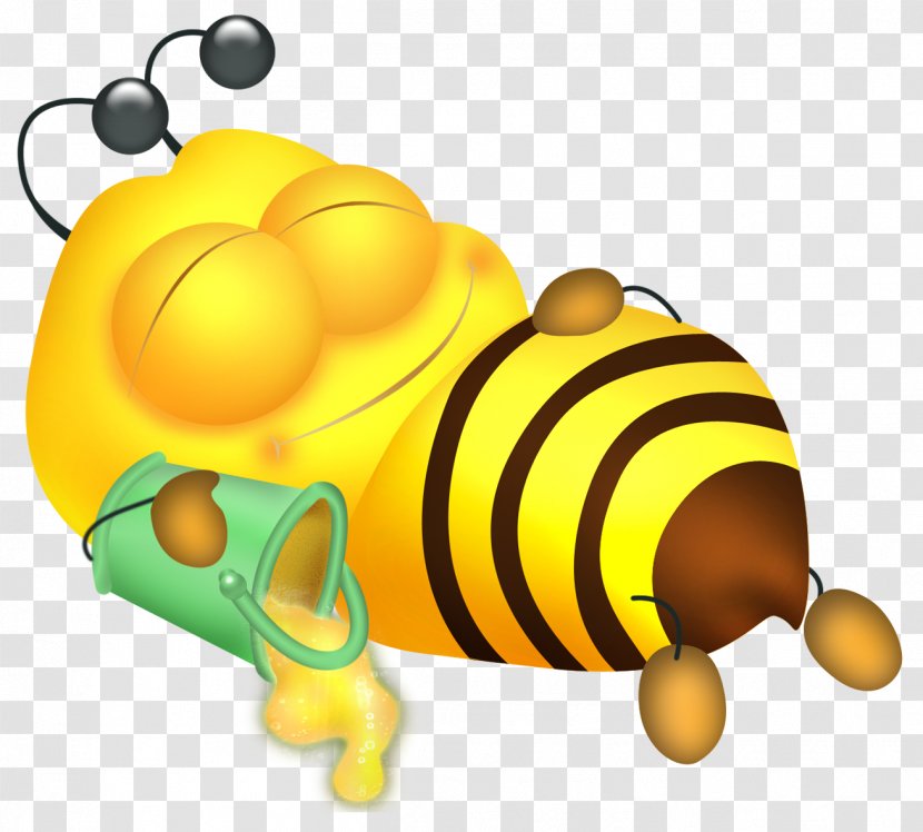 Honey Bee Insect Bumblebee Clip Art - Cartoon Transparent PNG