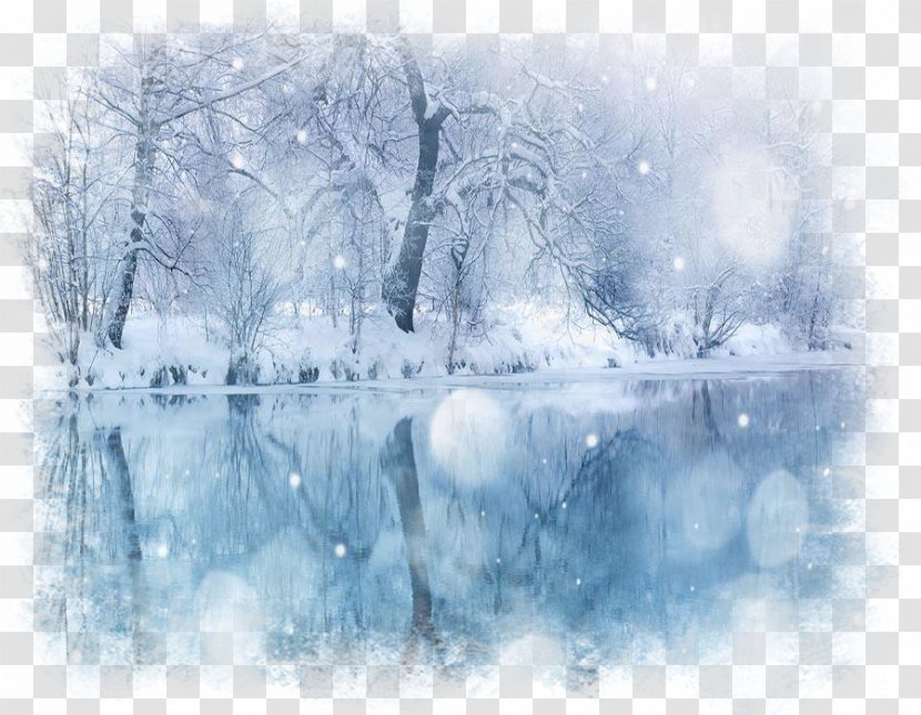 Snow Winter Desktop Wallpaper Image Photograph - Blizzard Transparent PNG