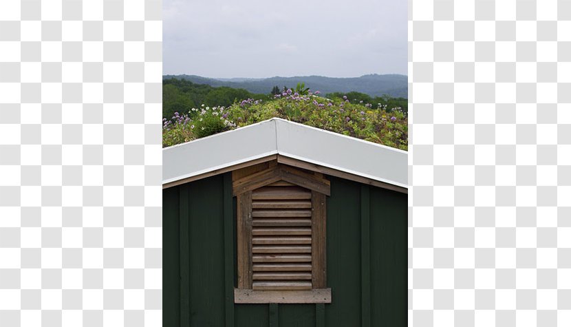 Window Roof Property Shed Outhouse - Eastern Prickly Pear Transparent PNG