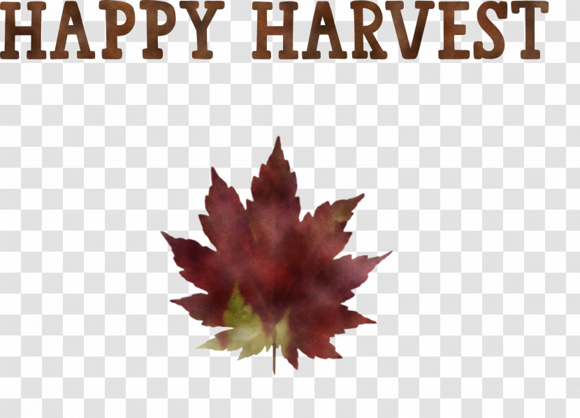 Happy Harvest Harvest Time Transparent PNG