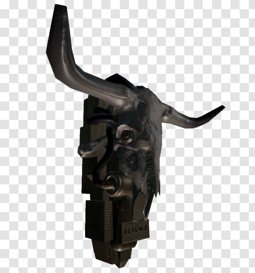 Cattle - Horn - Bull Skull Transparent PNG
