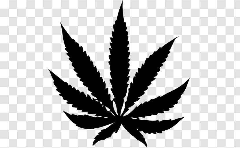 Medical Cannabis Sativa Leaf Legality Of Transparent PNG