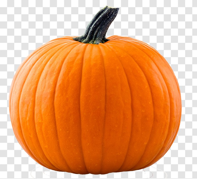 Giant Pumpkin Jack-o'-lantern Halloween Pumpkins Cucurbita Maxima - Mega Deals And Coupons Transparent PNG