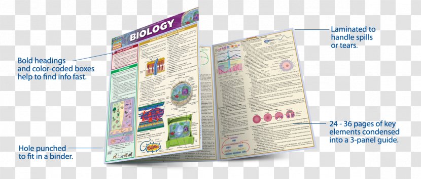 Biology Terminology (Speedy Study Guide) Skills SQL Guide - Information - Student Transparent PNG
