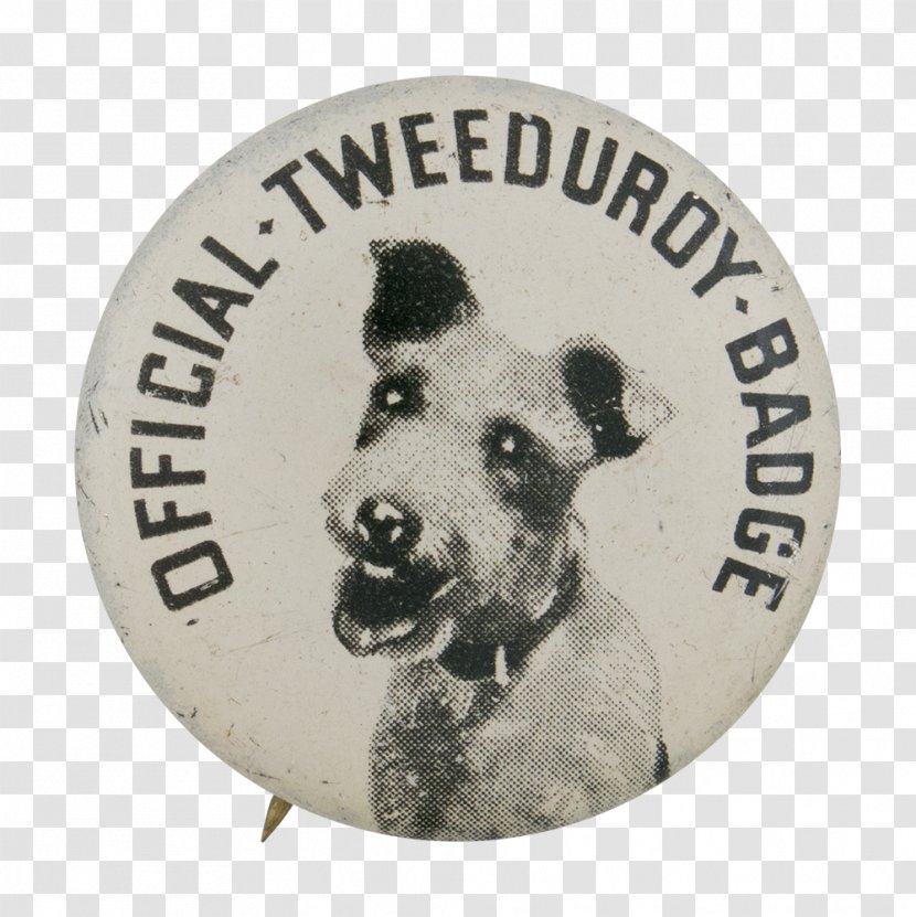 Dog Badge Museum Button Collar - Snout - Beavers Transparent PNG