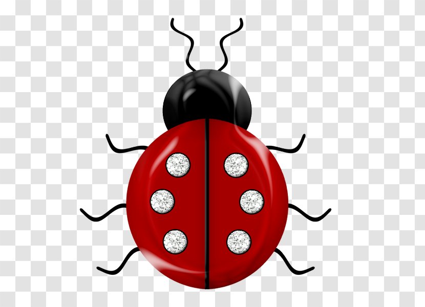 Insect Ladybird Red Easter Egg Bee Clip Art - Beetle Transparent PNG