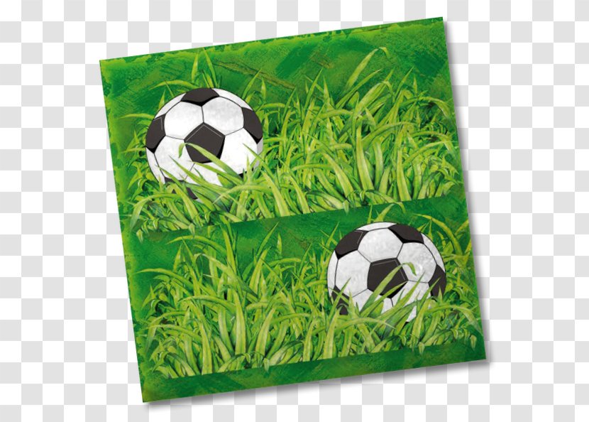 Grasses Football Family - Ball Transparent PNG