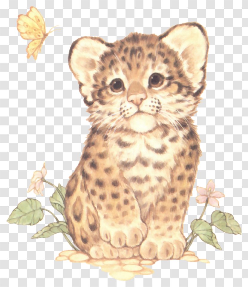 Leopard Cheetah Tiger Giant Panda Painting - Whiskers - Baby Transparent PNG