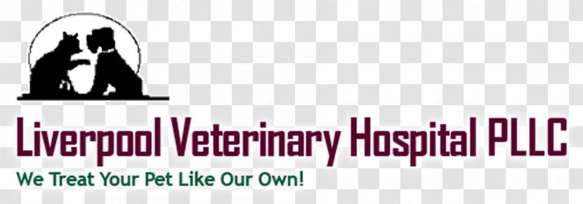 Liverpool Veterinarian American Veterinary Medical Association Medicine Paraveterinary Worker - Mammal Transparent PNG