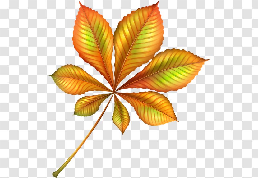 Clip Art Autumn Leaf Color Image - Fall Leaves - Symmetrical Transparent PNG