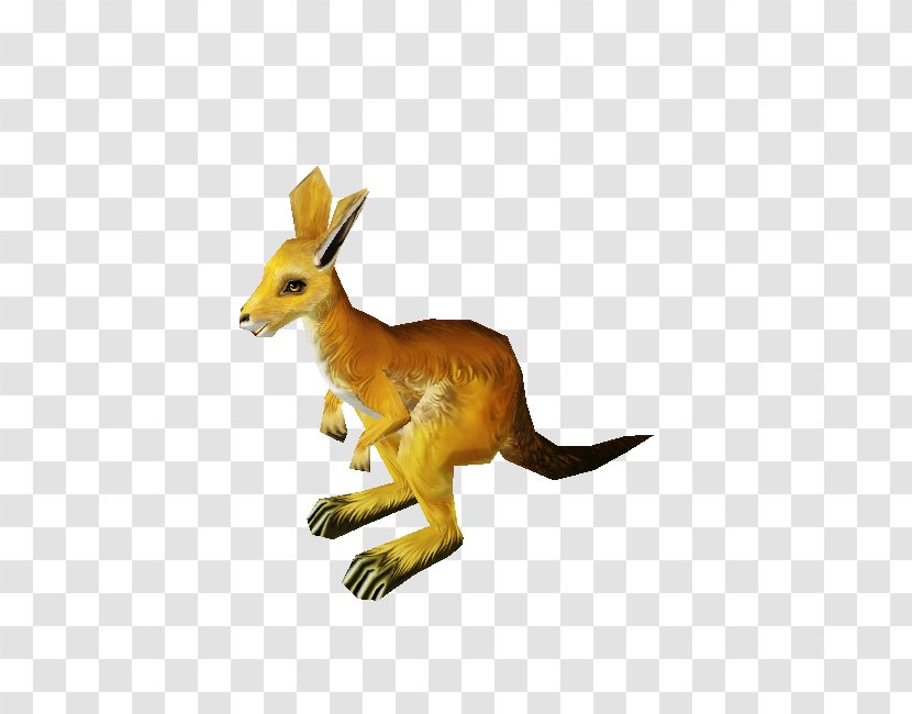 Kangaroo Macropodidae Red Fox Tail Animal - Fauna Transparent PNG