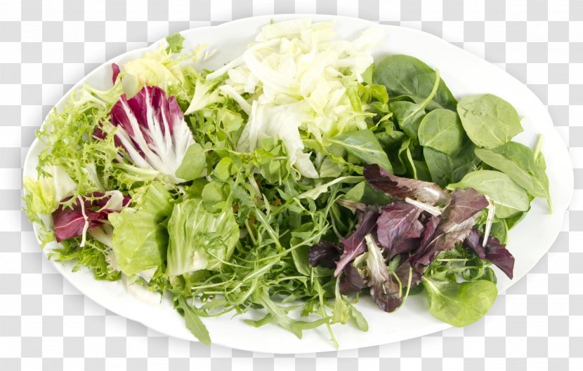 Greek Salad Caesar Waldorf Vegetarian Cuisine Romaine Lettuce - La Quinta Inns Suites - Salad-bowl Transparent PNG