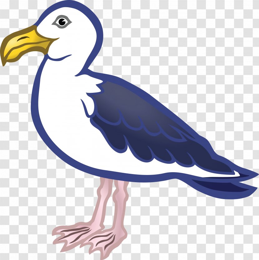 Gulls Bird Clip Art - Water - Seagull Transparent PNG